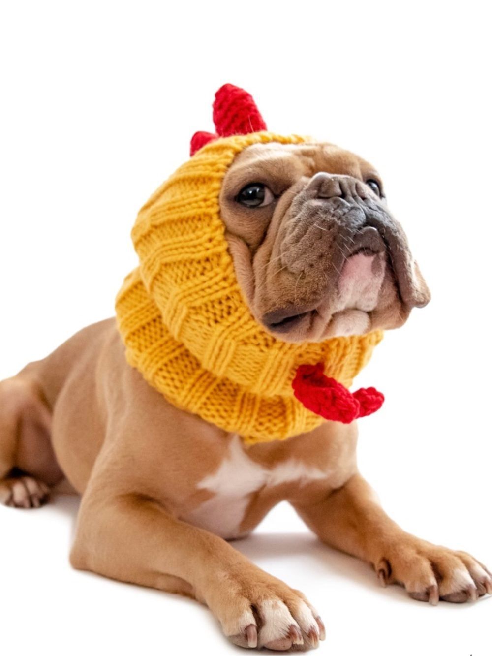 Zoo snoods - Rooster size large -New with tags